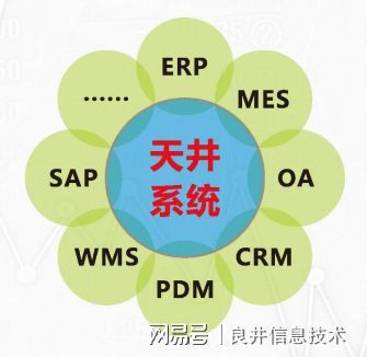 企業(yè)信息化的四個誤區(qū) 信息技術(shù)咨詢視角